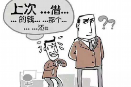 宕昌企业清欠服务