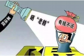 宕昌债务清欠服务