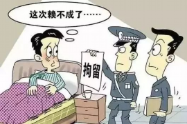 宕昌债务清欠服务